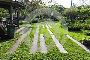 Walkway on green grassy