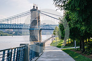 Walkway and the John A. Roebling Suspension Bridge, seen at Smale Riverfront Park, in Cincinnati, Ohio