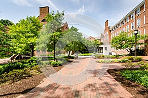 Walkway - Johns Hopkins University - Baltimore, MD photo