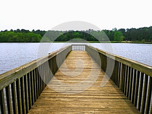 On the Walkway on the Lake