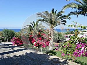 Walkway in Lapta, Cyprus