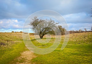 Idyllic footpath through the English countryside. photo