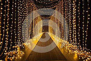 A walkway with lights strung along it photo