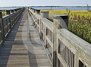 Walkway in Marsh