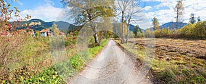 Walkway through moor landscape unterammergau