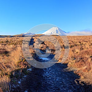 Walkway in the mountains at Tongariro National Park, New Zealand