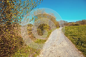 Walkway in the Natural reserve Marisma de Joyel photo