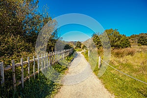 Walkway in the Natural reserve Marisma de Joyel photo