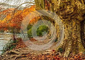 Walkway near river