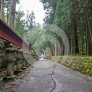 Walkway in Nikko`s World Heritage Sites with japanese stone lanterns and fresh green trees , Tochigi , background