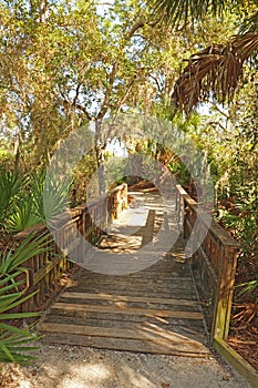 Walkway at Oscar Scherer State Park, Florida