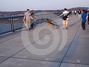 Walkway over Hudson Poughkeepsie NY