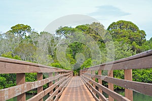 A walkway over the inland waterway at McGough Nature Park in Indian Rocks Beach, Florida.