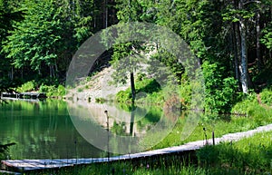 A walkway over the mountain lake surrounded by spring woods