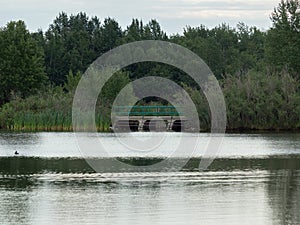 Walkway over a pond