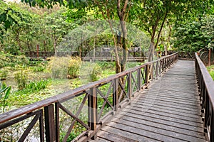 Walkway over a swamp