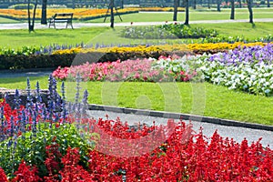 Walkway in park