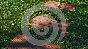 walkway in the park with green grass photo