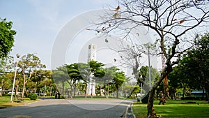 Walkway in the park with trees forest photo