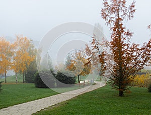 Walkway in a park surrounded by fog