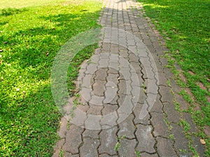 The walk way in the park under the shade of tree