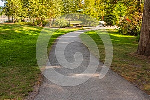 Walkway Path With Green Trees. Pathway in a Summer Park with beautiful trees and green grass, track for running, walking