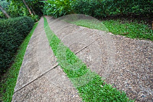 Walkway path to green garden