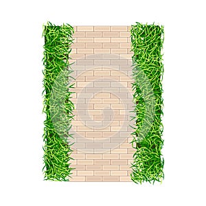 Walkway or Pavement of Flagstone as Outdoor Floor Covering and Landscape Design Vector Illustration