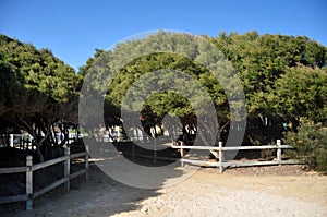 Walkway for people walking go to Bathers Beach at Fremantle port city