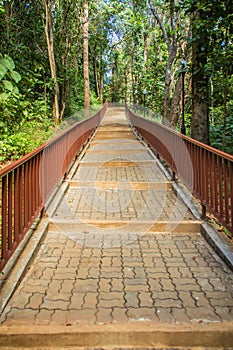 Walkway into the publuc temple in the forest that constructed with brick floor and steel fence