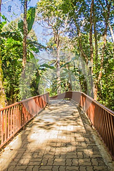 Walkway into the publuc temple in the forest that constructed with brick floor and steel fence