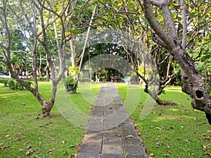 Walkway through the rest area.