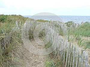 Walkway through the sand dunes to the beach