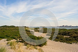 Walkway in the sand between plants, dunes of the sandy beach and view on the dock and canal, Hoek van Holland