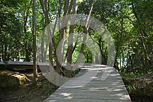 Walkway on the Skradinski Buk Trail