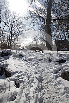 Walkway on snow at park in winter