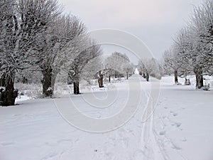 Walkway with snow in a white winter landscape