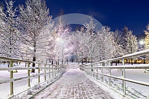 Walkway in a snowy park. Evening view