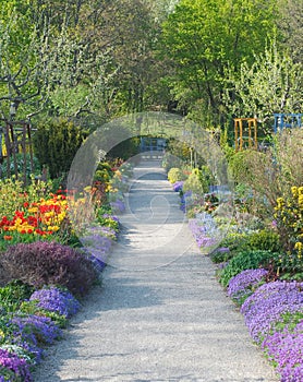 Walkway Through Spring Blossoms