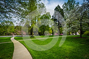 Walkway and spring colors at Johns Hopkins at Mount Washington,