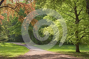 Walkway on a Spring Day