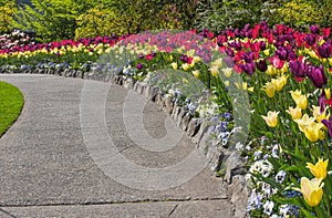 Walkway in a spring garden