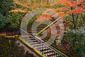 The walkway stepping stair with black steel railing under red leaves maple trees in Japanese garden in autumn season