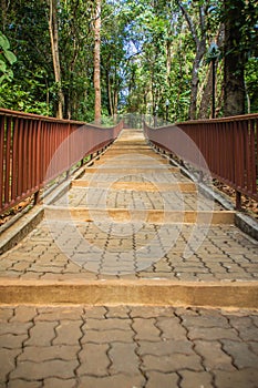 Walkway into the temple in the forest that constructed with brick floor and steel fence