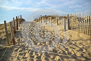 Walkway to the Beach