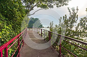 Walkway to beach