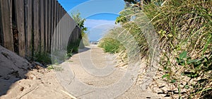 Walkway to beach between dune and weathered wood fence with bench and lake in distance