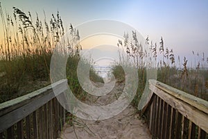 Walkway to the Beach Outer Banks photo