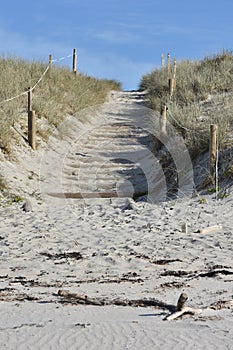 Walkway to beach over sand dune