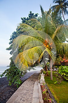 Walkway to beach from tropical garden. Beautiful garden with tropical plants near the sea